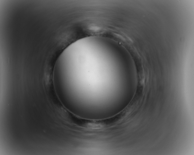X0000089450515200706151434