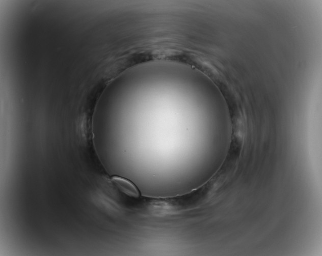 X0000089450519200706151434