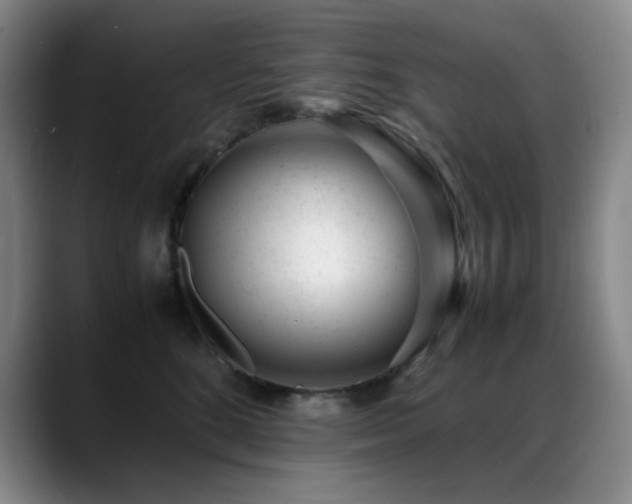X0000089450520200706151434