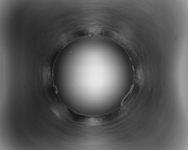 X0000089450522200706151434