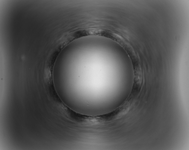 X0000089450523200706151434