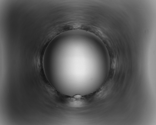 X0000089450524200706151434