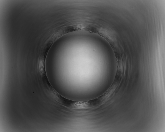 X0000089450526200706151434