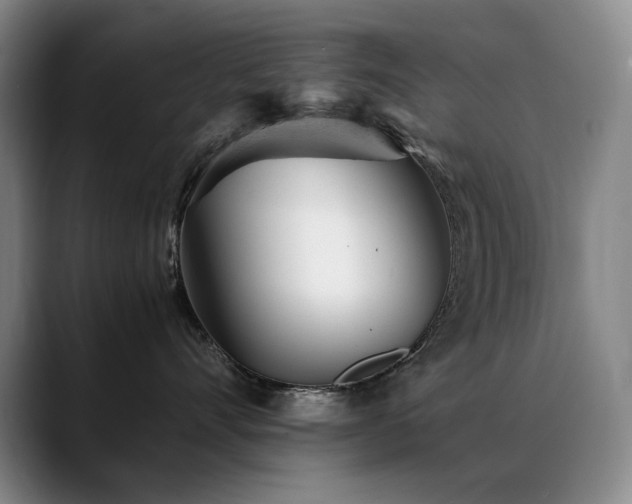 X0000089450528200706151434