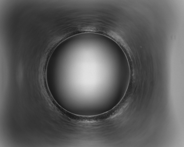 X0000089450529200706151433