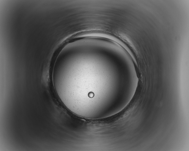 X0000089450532200706151433