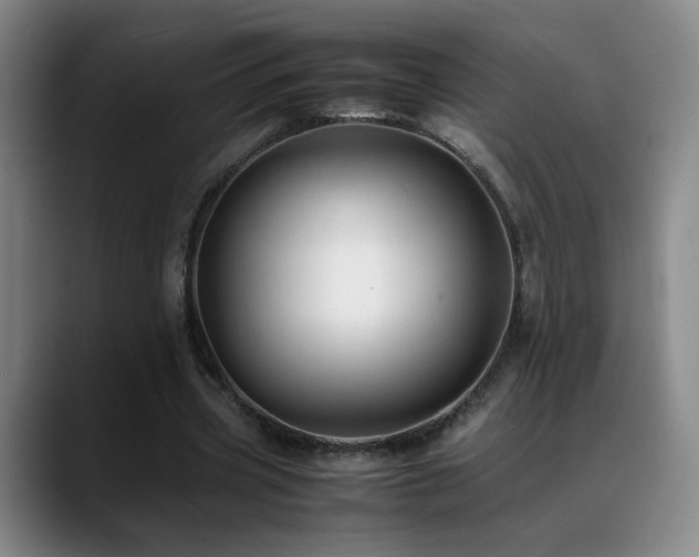 X0000089450533200706151433