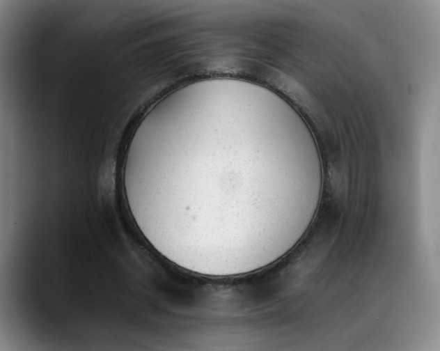 X0000089450534200706151433