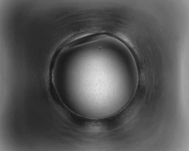 X0000089450535200706151433