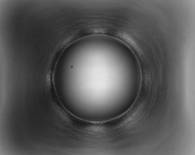 X0000089450537200706151433