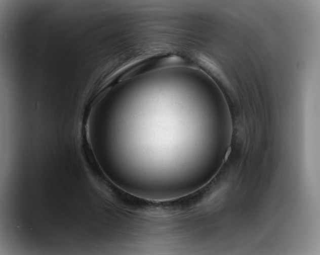 X0000089450538200706151433