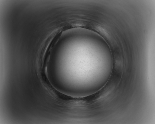 X0000089450539200706151433