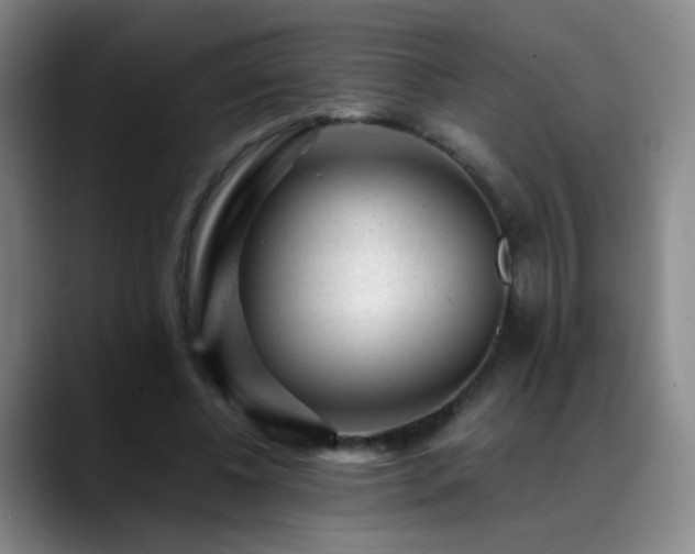 X0000089450540200706151433