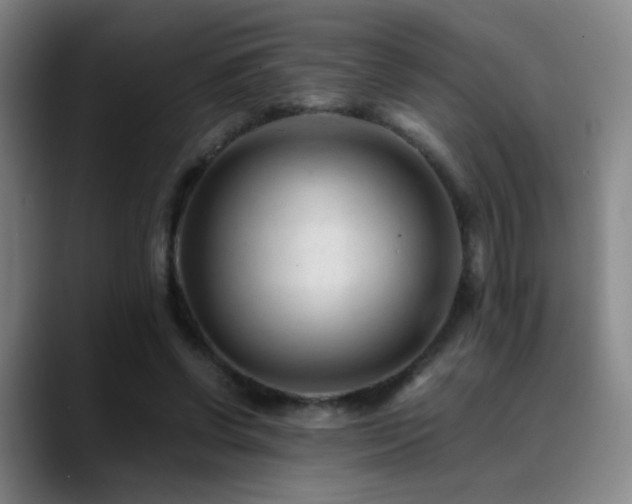 X0000089450542200706151433