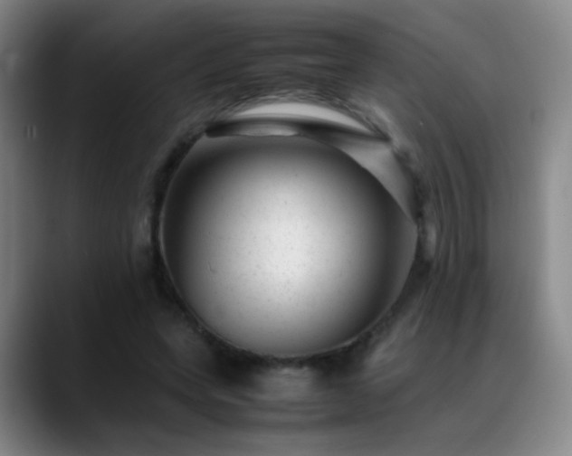 X0000089450543200706151433