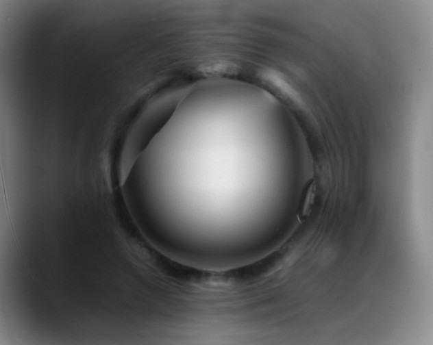 X0000089450546200706151433