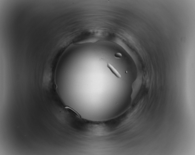 X0000089450548200706151433