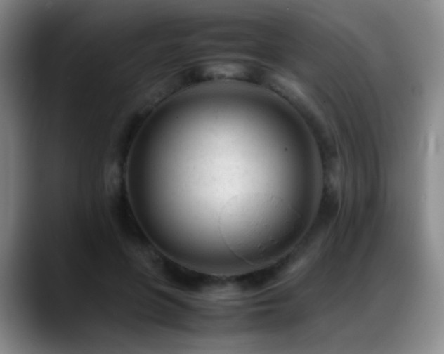 X0000089450551200706151433