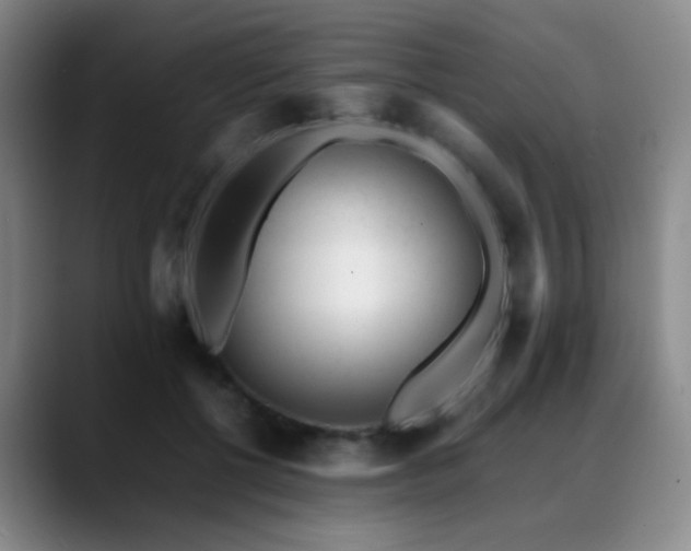 X0000089450552200706151433