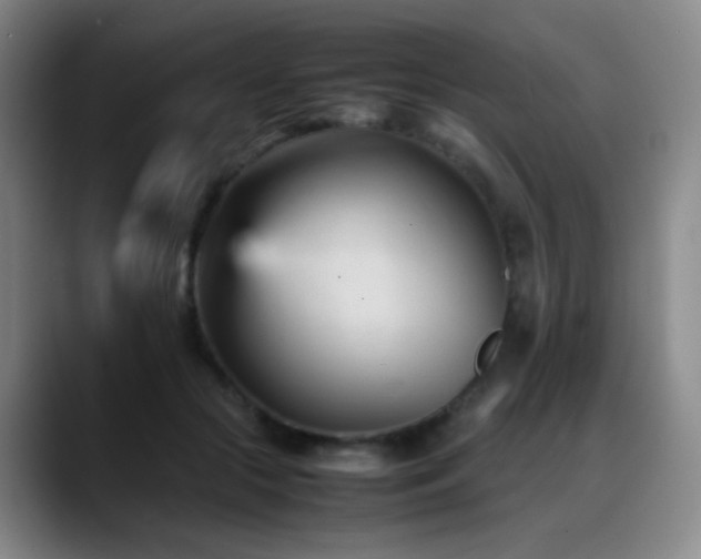 X0000089450553200706151433