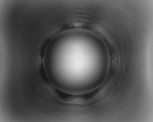 X0000089450555200706151433