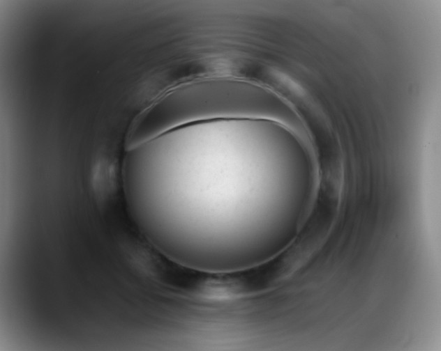 X0000089450556200706151433