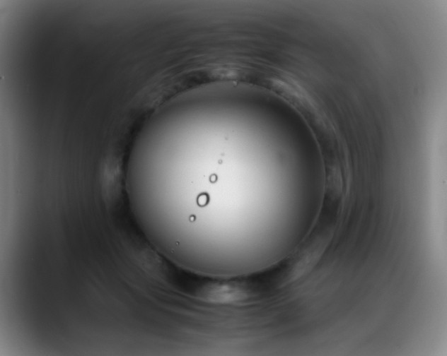 X0000089450557200706151433