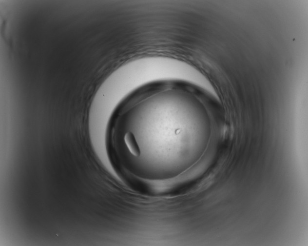 X0000089450558200706151433