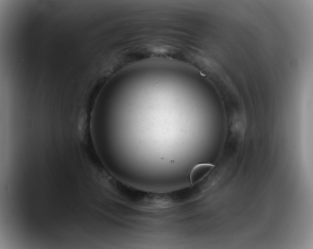 X0000089450559200706151433