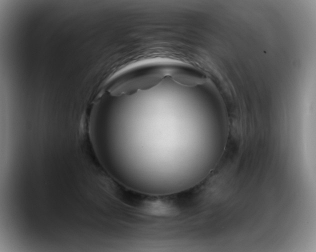 X0000089450561200706151433