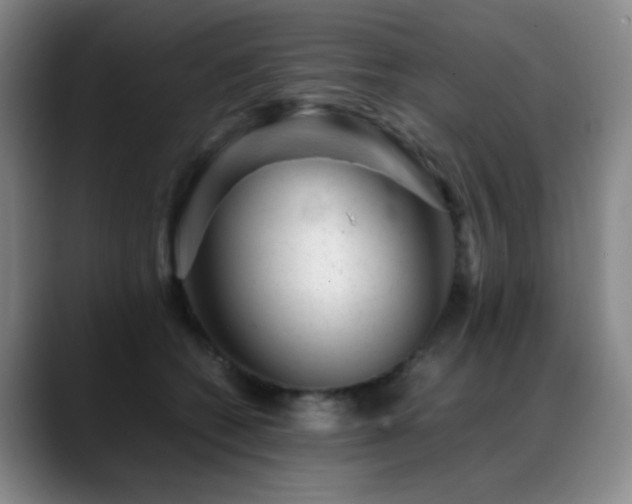 X0000089450562200706151434