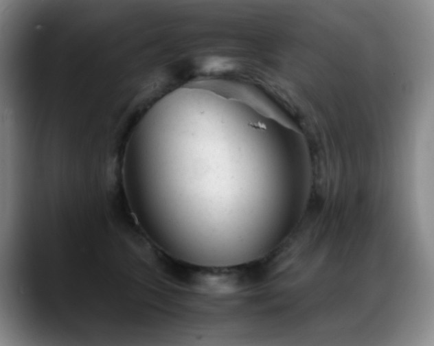 X0000089450563200706151434