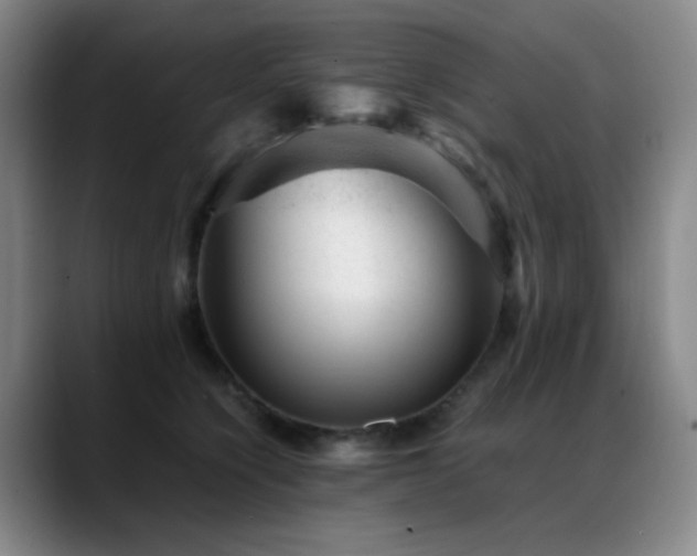 X0000089450564200706151434