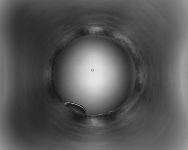 X0000089450565200706151434