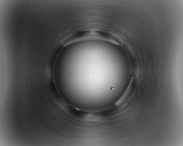 X0000089450568200706151434