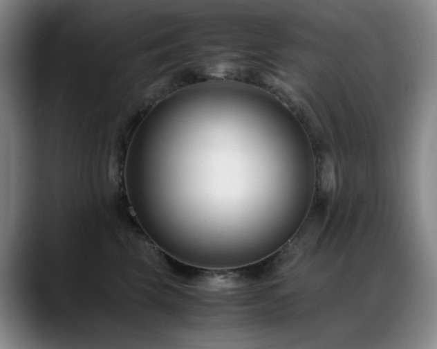 X0000089450569200706151434