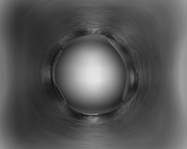 X0000089450570200706151434