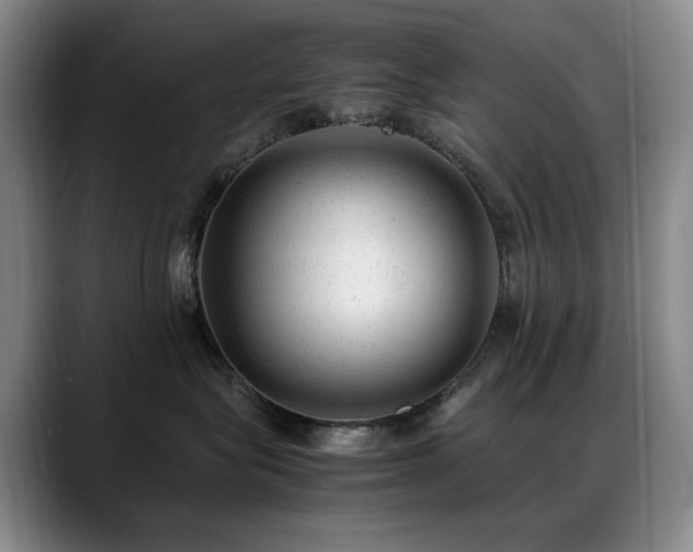 X0000089450575200706151434
