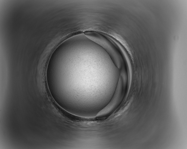 X0000089450577200706151433