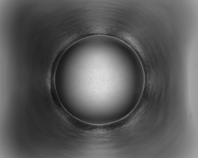 X0000089450578200706151433