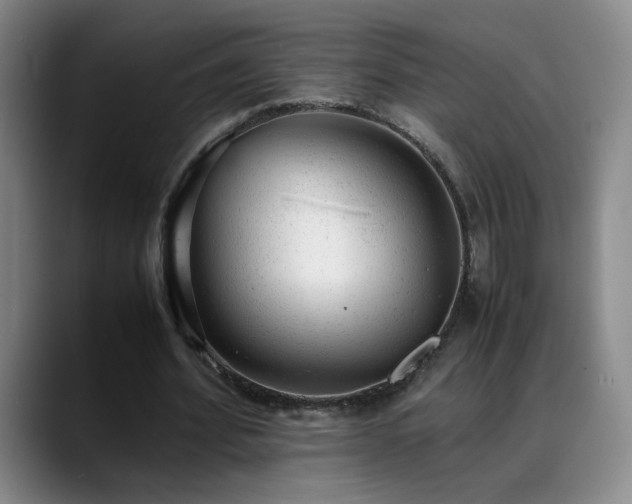 X0000089450580200706151433