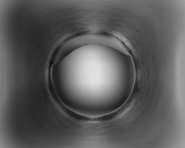 X0000089450581200706151433