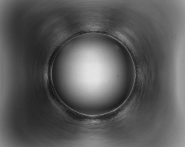 X0000089450582200706151433
