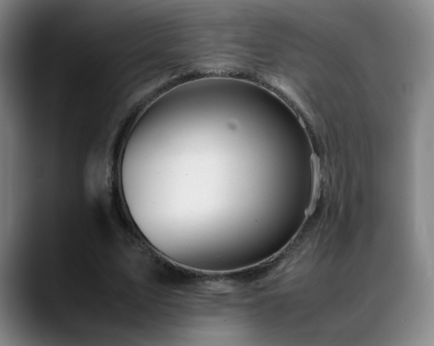 X0000089450583200706151433