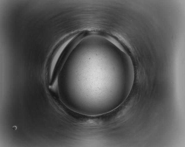 X0000089450584200706151433