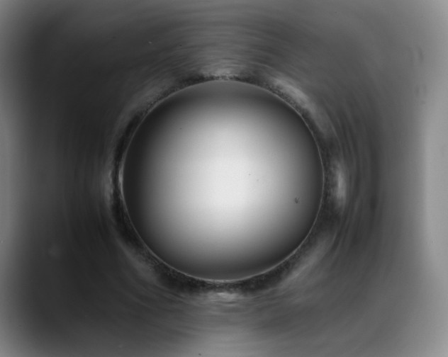 X0000089450586200706151433