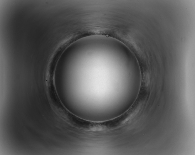 X0000089450587200706151433