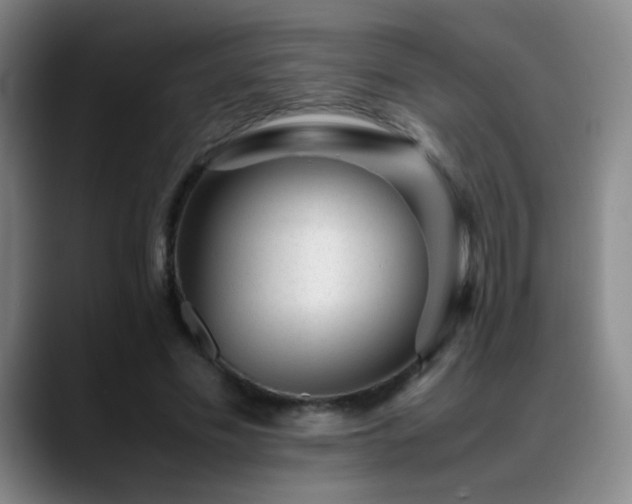 X0000089450589200706151433