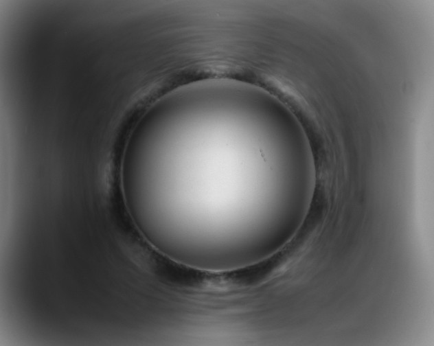 X0000089450591200706151433