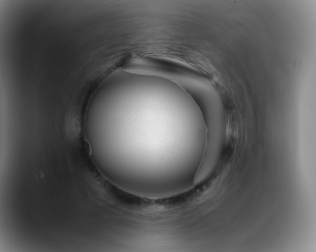 X0000089450593200706151433